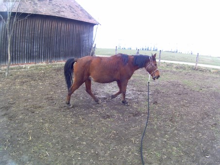 This photo is taken by AllWinner's v3-sdv